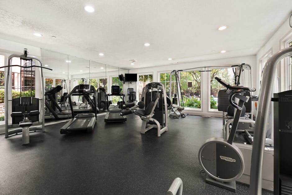 Spacious gym interior featuring modern cardio and strength equipment for a comprehensive workout.